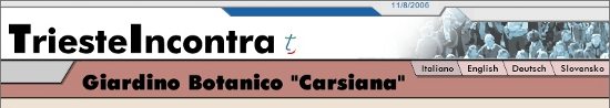 Il primo sito web di Carsiana